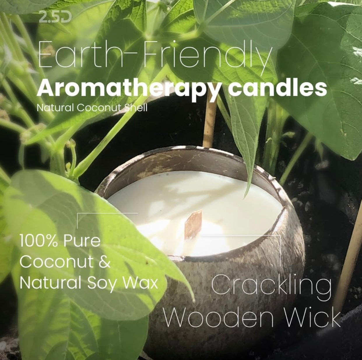 Coconut Scented Candle