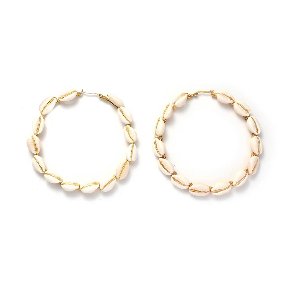 Natural Conch Shell Dangle Hoop Earrings