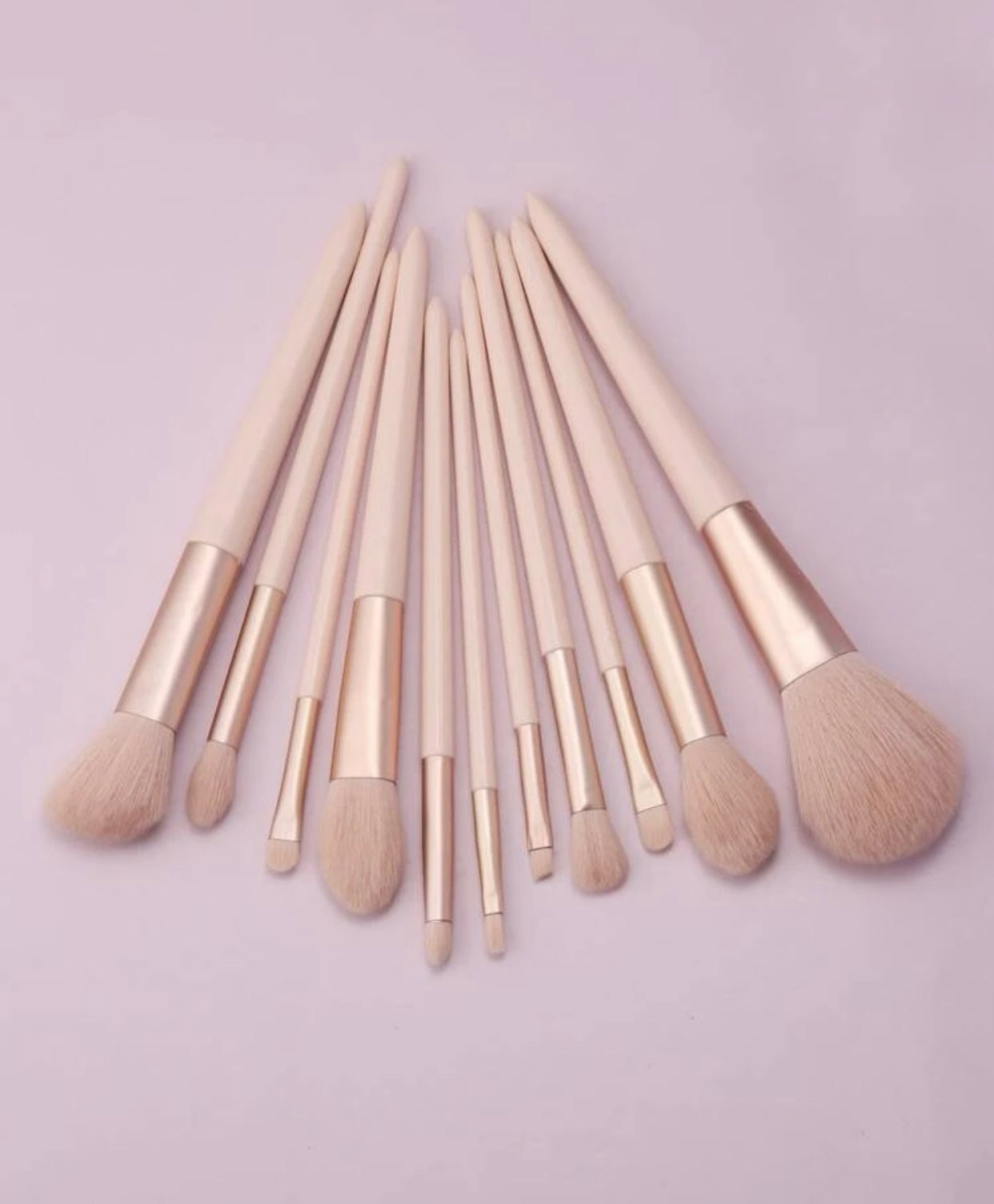 11 Piece Makeup Brush Set