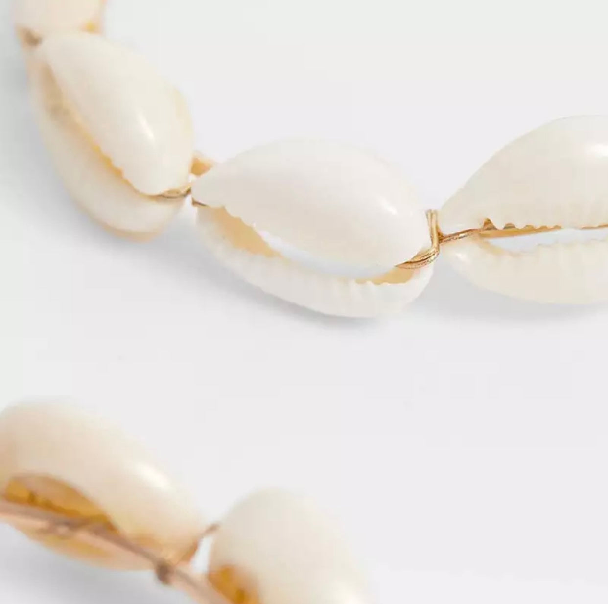 Natural Conch Shell Dangle Hoop Earrings