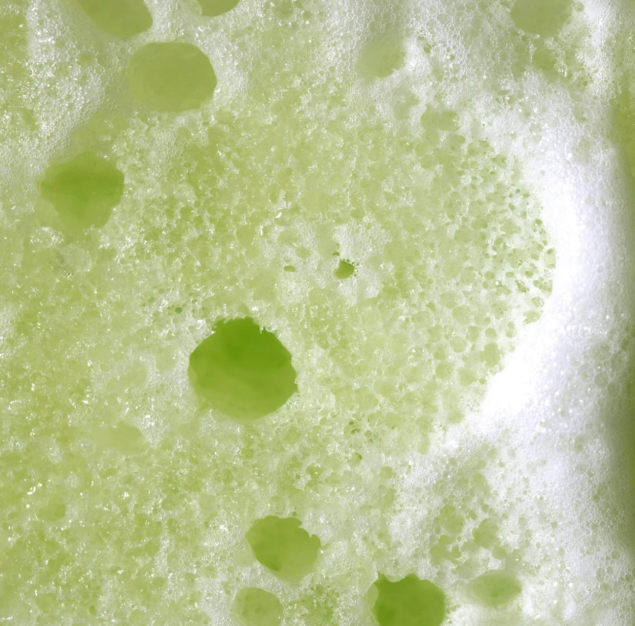 Deep Cleansing Soap-Infused Sponge, Green Tea, 1 Sponge,