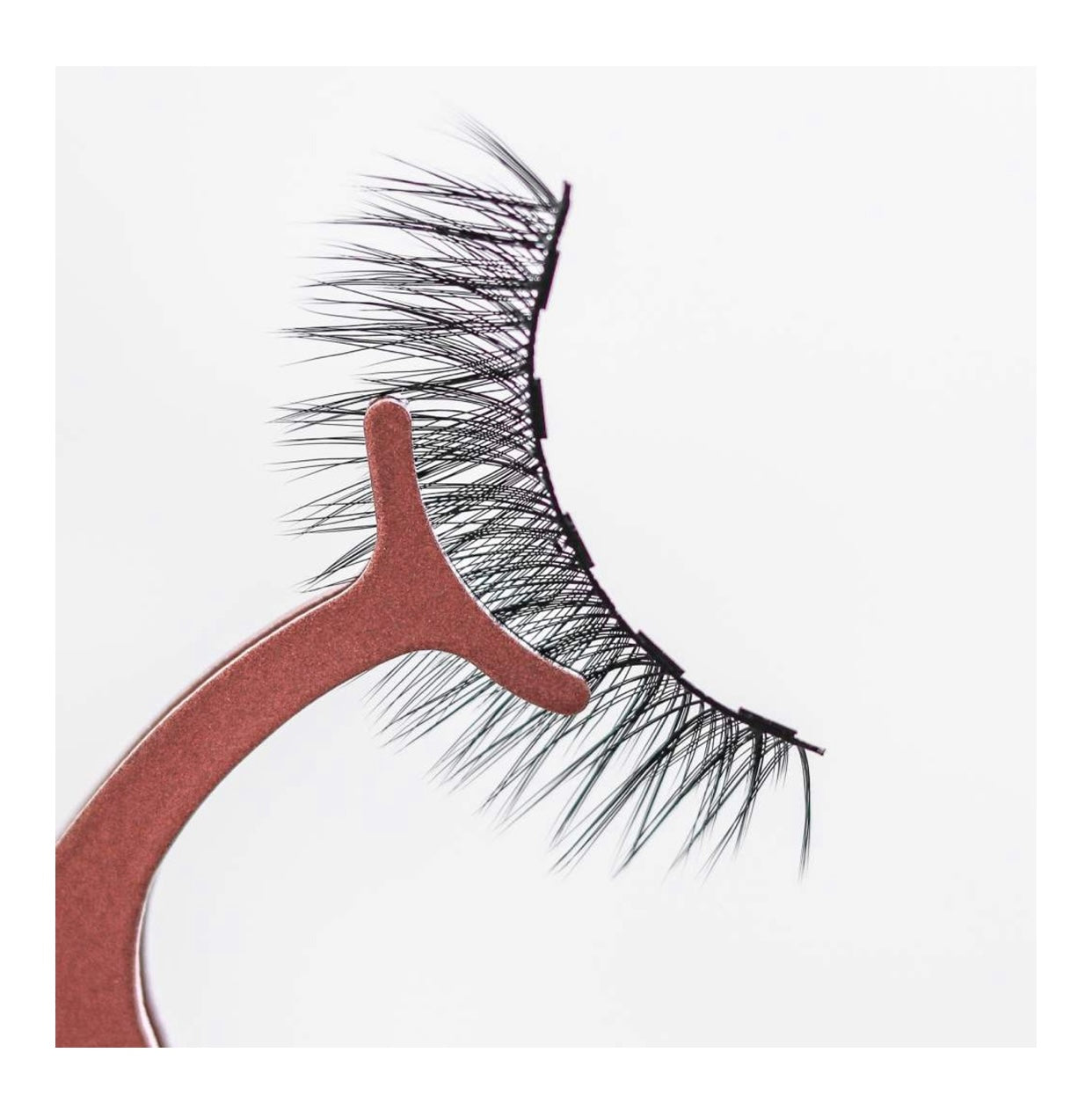 Lash Voltage Magnetic Eyeliner & Lashes