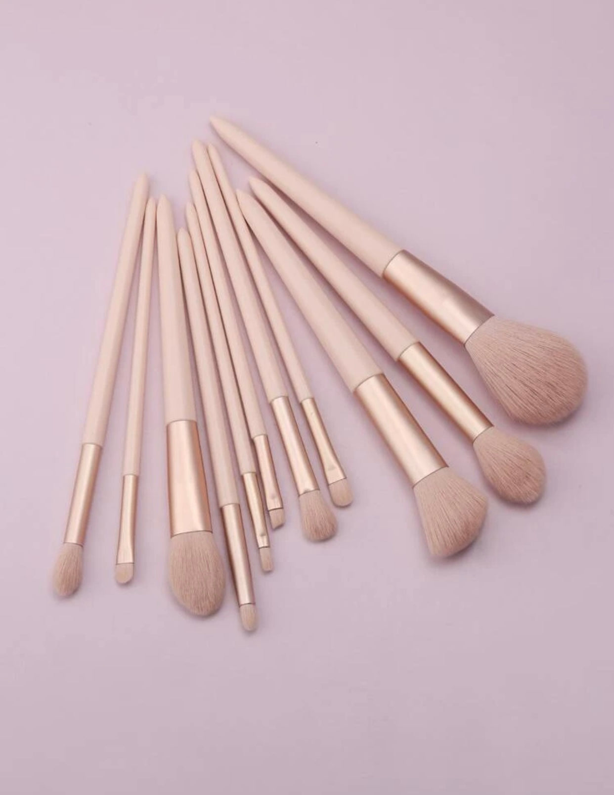 11 Piece Makeup Brush Set