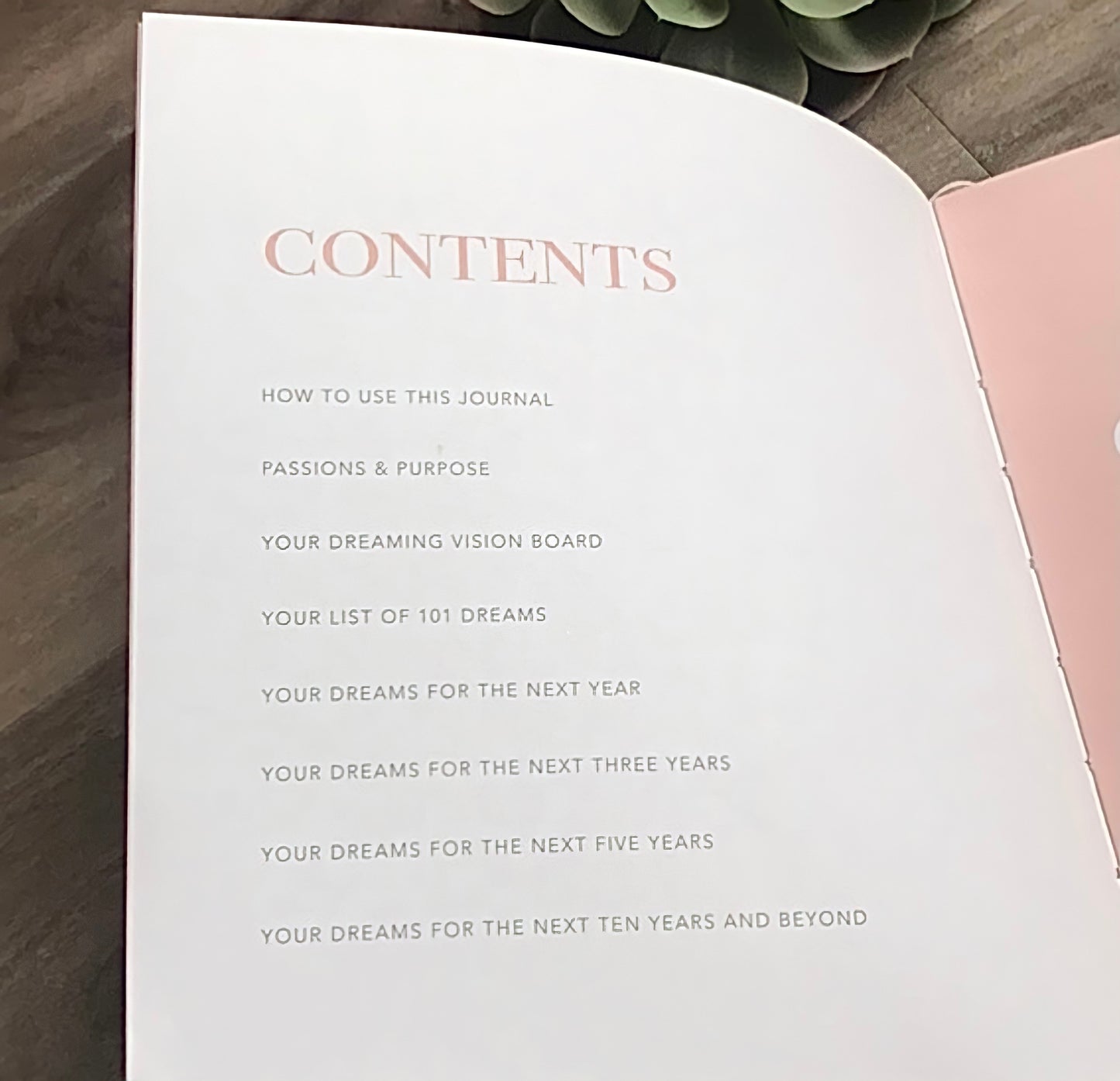 Dream Journal in Blush Pink