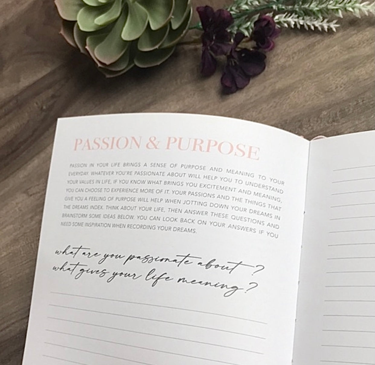 Dream Journal in Blush Pink