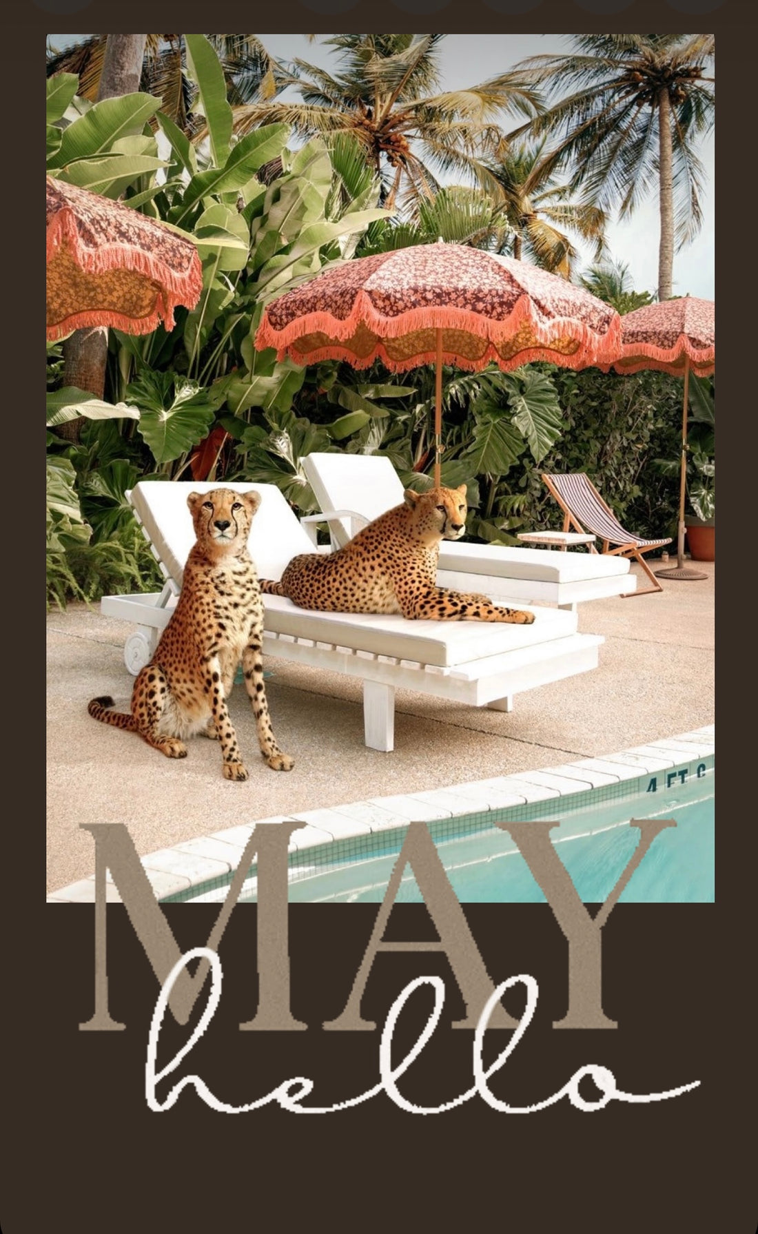 Hello May
