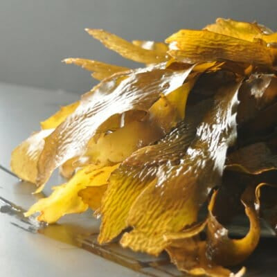 Seaweed Skin Tightening Soap