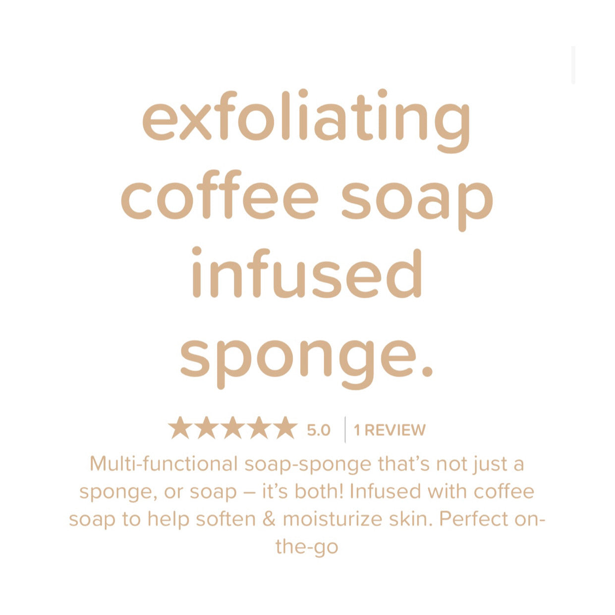 Exfoliating Soap-Infused Sponge, Coffee, 1 Sponge