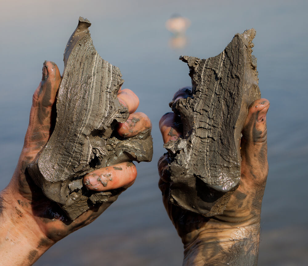 Dead Sea Mud Soap Face & Body