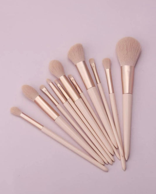 11 Piece Makeup Brush Set