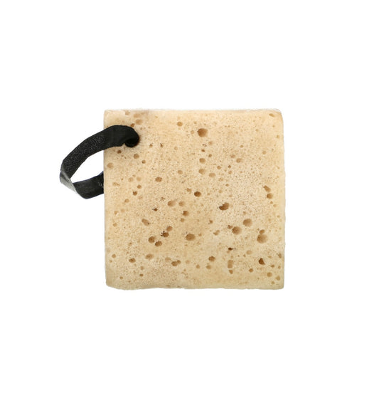 Exfoliating Soap-Infused Sponge, Coffee, 1 Sponge