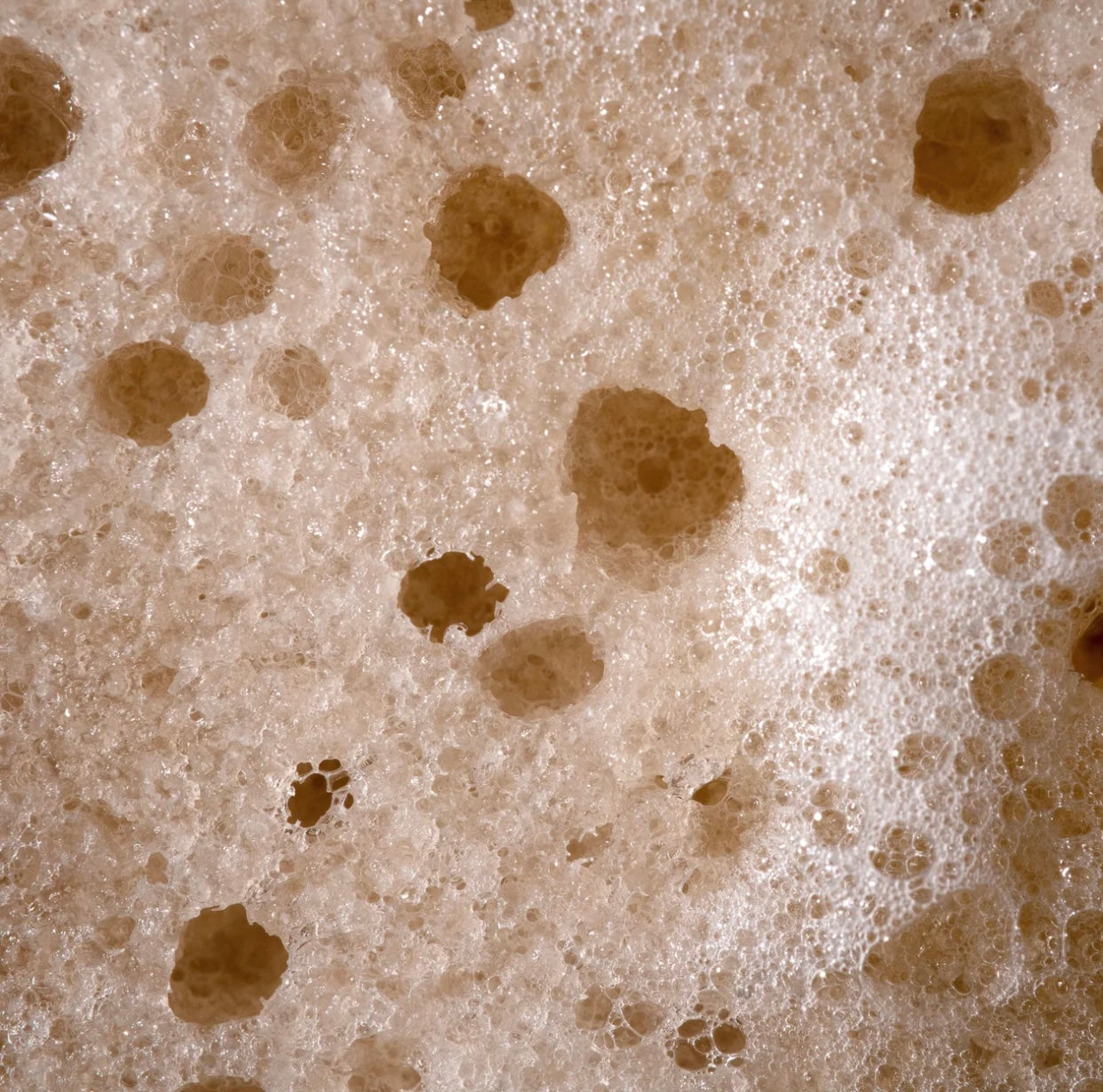 Exfoliating Soap-Infused Sponge, Coffee, 1 Sponge