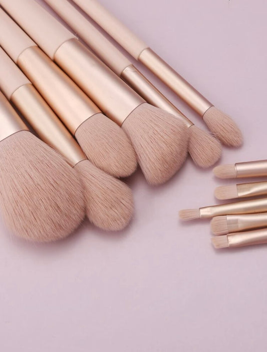 11 Piece Makeup Brush Set